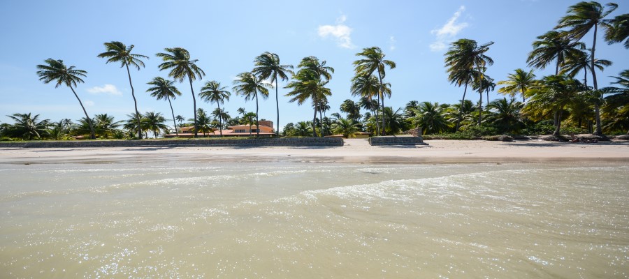 Alagoas im Norden Brasiliens: Postkarten-Strand-Idylle mit grünem Wasser